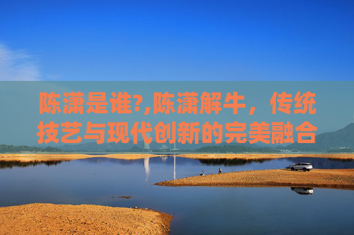 陈潇是谁?,陈潇解牛，传统技艺与现代创新的完美融合
