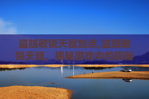 盗贼敏锐天赋加点,盗贼敏锐天赋，揭秘游戏中的隐秘力量