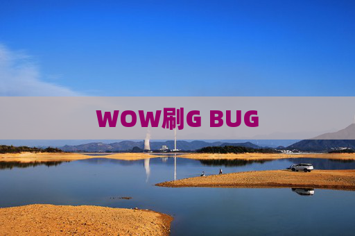 WOW刷G BUG WOW刷G BUG
