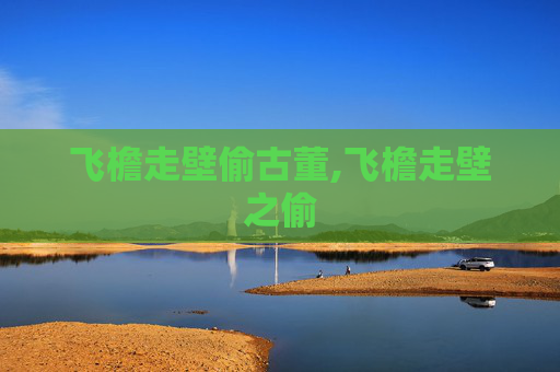 飞檐走壁偷古董,飞檐走壁之偷