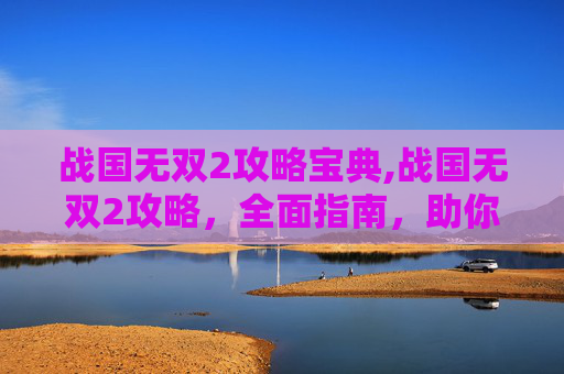 战国无双2攻略宝典,战国无双2攻略，全面指南，助你成为无双之王
