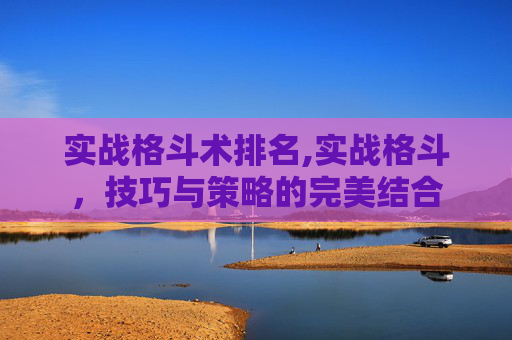实战格斗术排名,实战格斗,技巧与策略的完美结合 实战格斗术排名,实战格斗,技巧与策略的完美结合