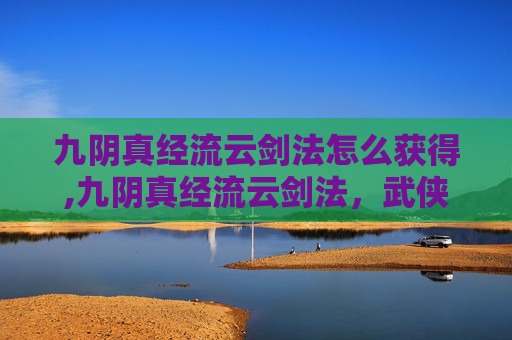 九阴真经流云剑法怎么获得,九阴真经流云剑法，武侠世界中的绝学