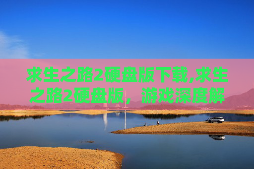 求生之路2硬盘版下载,求生之路2硬盘版,游戏深度解析与体验分享