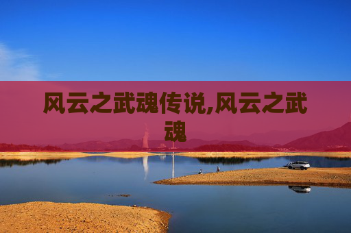 风云之武魂传说,风云之武魂