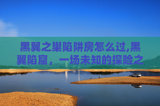 黑翼之巢陷阱房怎么过,黑翼陷窟，一场未知的探险之旅