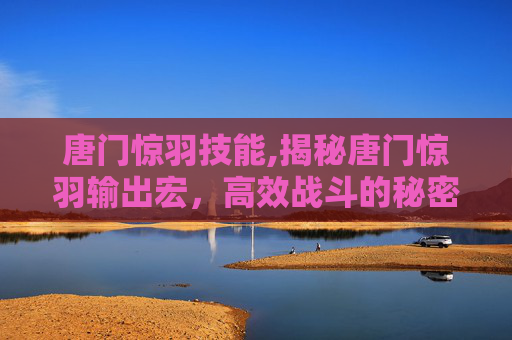 唐门惊羽技能,揭秘唐门惊羽输出宏,高效战斗的秘密武器 唐门惊羽技能,揭秘唐门惊羽输出宏,高效战斗的秘密武器