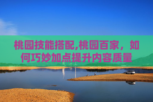 桃园技能搭配,桃园百家,如何巧妙加点提升内容质量