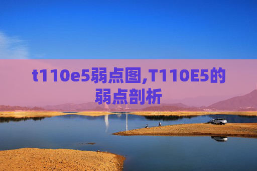t110e5弱点图,T110E5的弱点剖析
