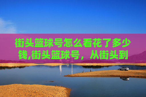 街头篮球号怎么看花了多少钱,街头篮球号,从街头到专业,我的篮球之路