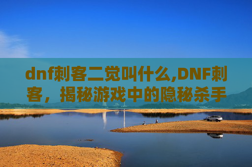 dnf刺客二觉叫什么,DNF刺客，揭秘游戏中的隐秘杀手