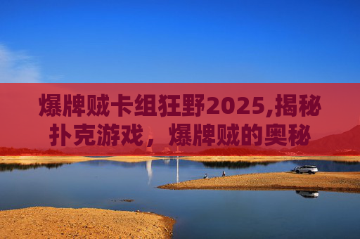 爆牌贼卡组狂野2025,揭秘扑克游戏，爆牌贼的奥秘