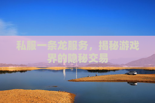 私服一条龙服务，揭秘游戏界的隐秘交易