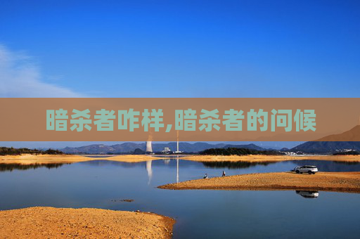 暗杀者咋样,暗杀者的问候