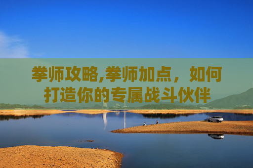 拳师攻略,拳师加点，如何打造你的专属战斗伙伴