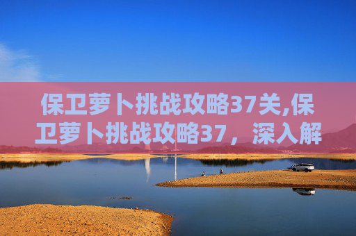 保卫萝卜挑战攻略37关,保卫萝卜挑战攻略37,深入解析与实战技巧 保卫萝卜挑战攻略37关,保卫萝卜挑战攻略37,深入解析与实战技巧