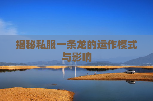 揭秘私服一条龙的运作模式与影响