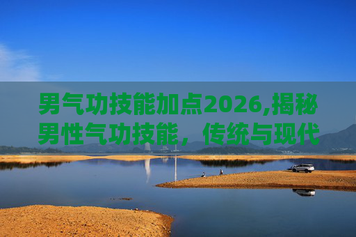 男气功技能加点2026,揭秘男性气功技能，传统与现代的融合
