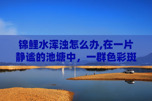锦鲤水浑浊怎么办,在一片静谧的池塘中，一群色彩斑斓的锦鲤悠然自得地游弋着。它们或跃出水面，激起层层涟漪；或潜入水底，与周围的环境融为一体。这片水域，对于这些锦鲤来说，就如同它们的家一般，充满了温暖和安全感