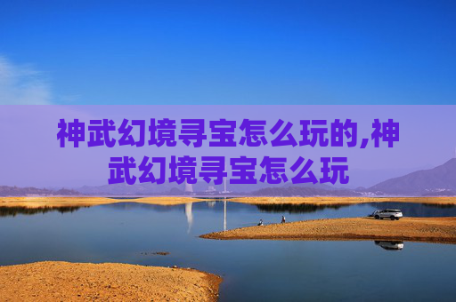 神武幻境寻宝怎么玩的,神武幻境寻宝怎么玩