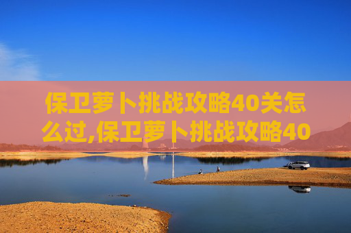 保卫萝卜挑战攻略40关怎么过,保卫萝卜挑战攻略40，终极关卡策略全解析