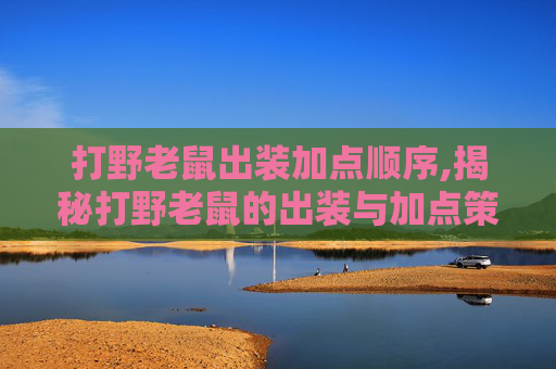 打野老鼠出装加点顺序,揭秘打野老鼠的出装与加点策略