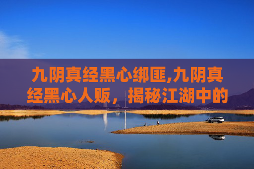 九阴真经黑心绑匪,九阴真经黑心人贩，揭秘江湖中的黑暗交易
