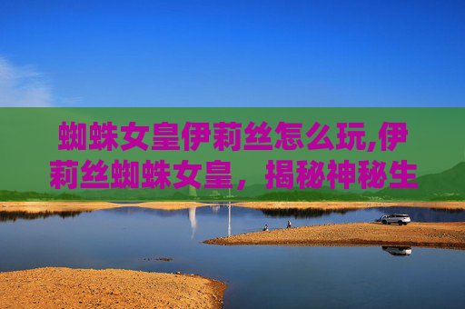 蜘蛛女皇伊莉丝怎么玩,伊莉丝蜘蛛女皇,揭秘神秘生物的传奇故事 蜘蛛女皇伊莉丝怎么玩,伊莉丝蜘蛛女皇,揭秘神秘生物的传奇故事