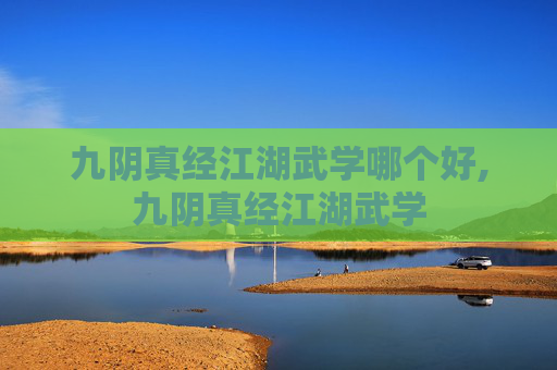九阴真经江湖武学哪个好,九阴真经江湖武学