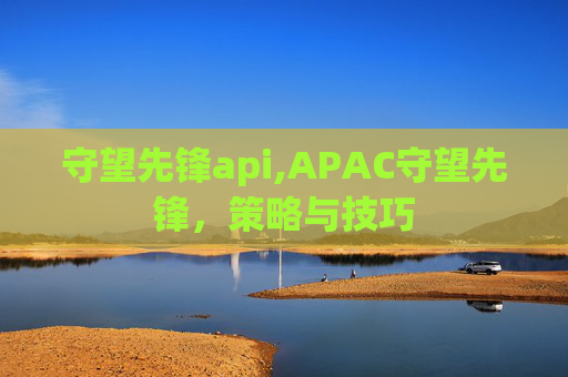 守望先锋api,APAC守望先锋，策略与技巧