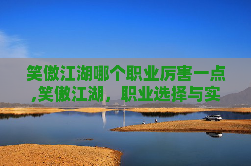 笑傲江湖哪个职业厉害一点,笑傲江湖，职业选择与实力较量