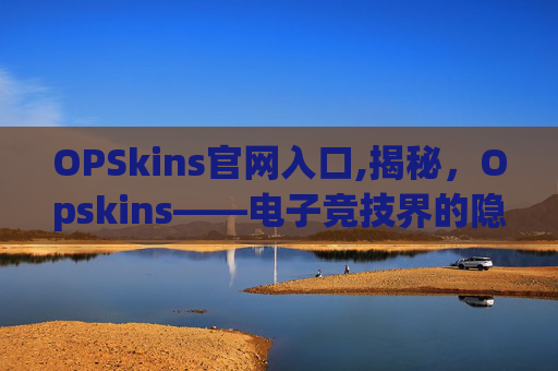 OPSkins官网入口,揭秘，Opskins——电子竞技界的隐藏宝石