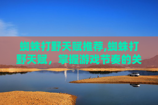 蜘蛛打野天赋推荐,蜘蛛打野天赋，掌握游戏节奏的关键