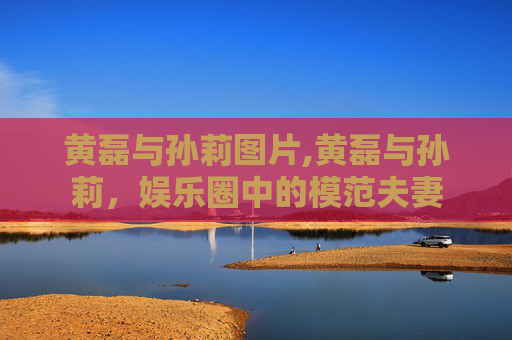 黄磊与孙莉图片,黄磊与孙莉，娱乐圈中的模范夫妻
