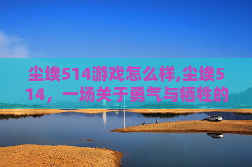尘埃514游戏怎么样,尘埃514，一场关于勇气与牺牲的史诗之旅