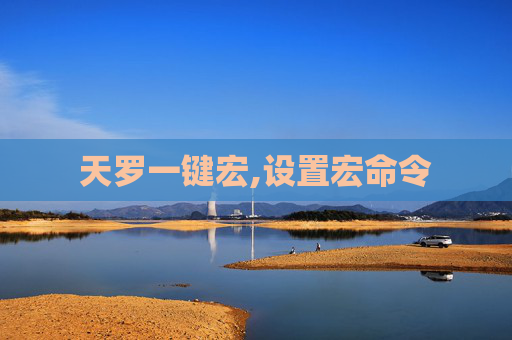 天罗一键宏,设置宏命令