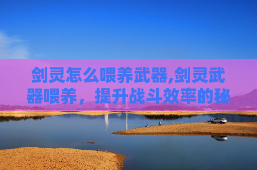 剑灵怎么喂养武器,剑灵武器喂养,提升战斗效率的秘诀 剑灵怎么喂养武器,剑灵武器喂养,提升战斗效率的秘诀