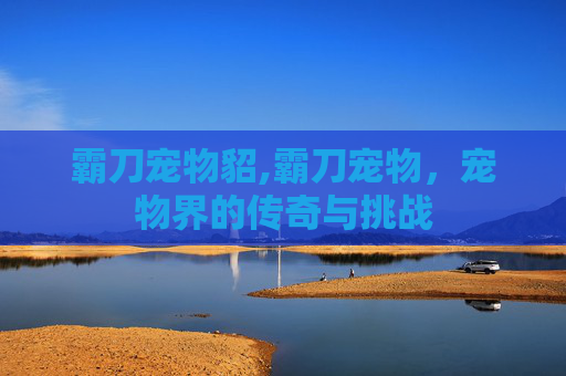 霸刀宠物貂,霸刀宠物,宠物界的传奇与挑战 霸刀宠物貂,霸刀宠物,宠物界的传奇与挑战