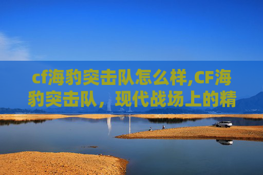 cf海豹突击队怎么样,CF海豹突击队,现代战场上的精英力量 cf海豹突击队怎么样,CF海豹突击队,现代战场上的精英力量