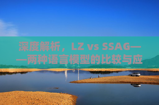 深度解析，LZ vs SSAG——两种语言模型的比较与应用