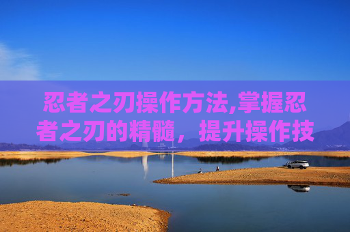 忍者之刃操作方法,掌握忍者之刃的精髓，提升操作技巧与策略
