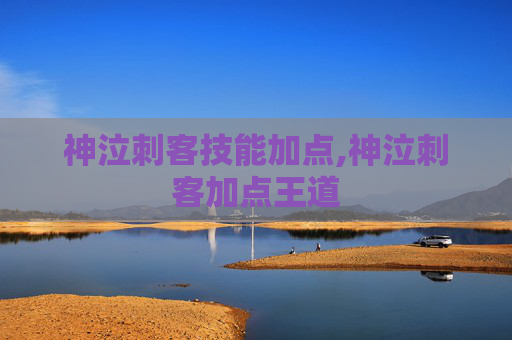 神泣刺客技能加点,神泣刺客加点王道 神泣刺客技能加点,神泣刺客加点王道