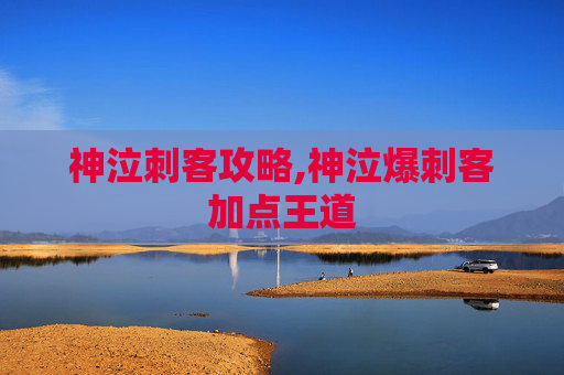 神泣刺客攻略,神泣爆刺客加点王道 神泣刺客攻略,神泣爆刺客加点王道