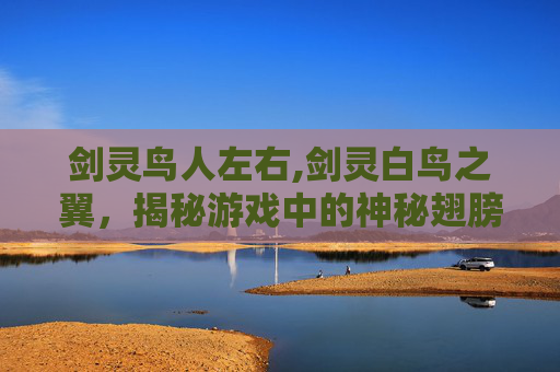 剑灵鸟人左右,剑灵白鸟之翼，揭秘游戏中的神秘翅膀