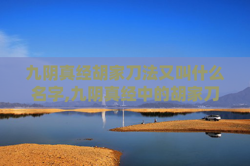 九阴真经胡家刀法又叫什么名字,九阴真经中的胡家刀法，作为金庸武侠世界里一个独特而精妙的武学流派，其历史渊源、技艺特点以及在江湖中的影响都值得我们深入探讨。本文将围绕这一主题展开，旨在为读者提供一个全面而细致的胡家刀法解析