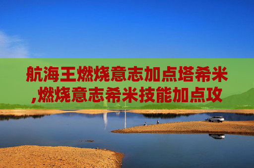 航海王燃烧意志加点塔希米,燃烧意志希米技能加点攻略