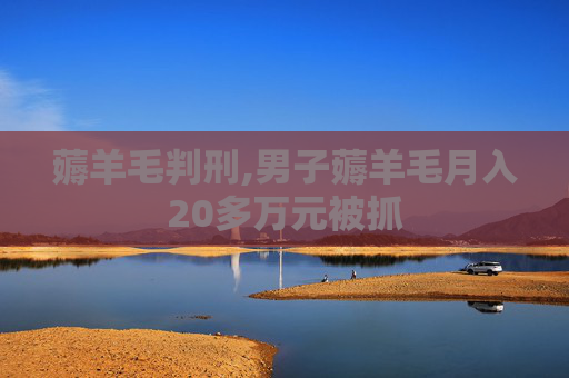 薅羊毛判刑,男子薅羊毛月入20多万元被抓