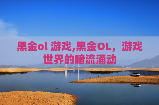 黑金ol 游戏,黑金OL，游戏世界的暗流涌动
