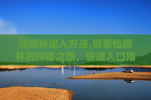仙踪林进入方法,探索仙踪林的神秘之旅，快速入口指南