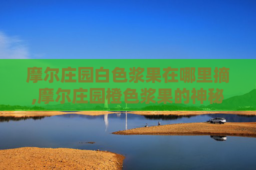 摩尔庄园白色浆果在哪里摘,摩尔庄园橙色浆果的神秘获取之旅